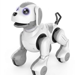 Intelligent Remote Control Robot Dog – Programmable Smart Toy for Kids | C10-510