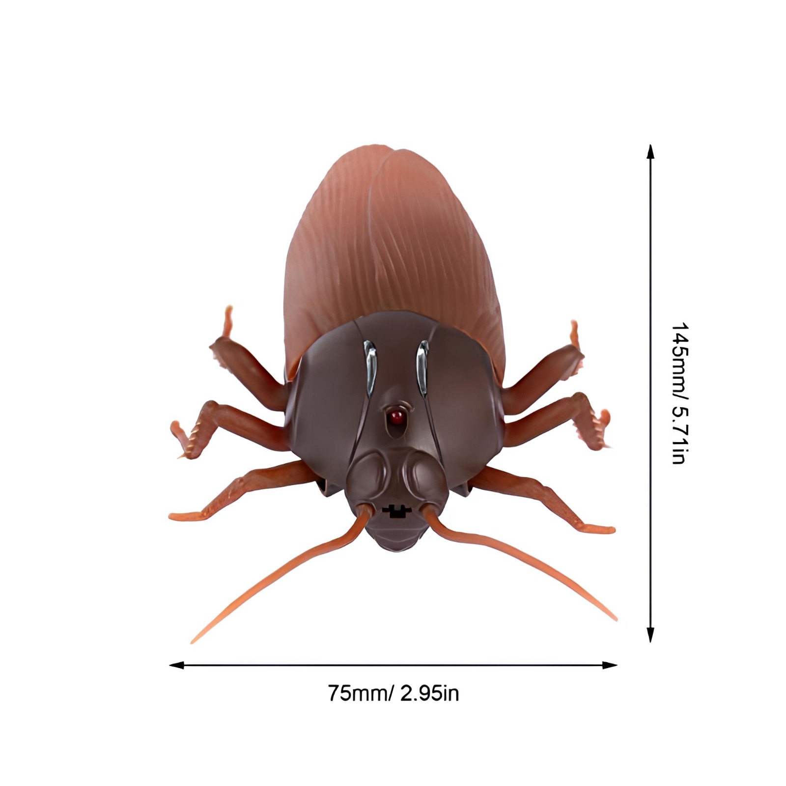 Realistic Remote Control Cockroach Toy – Infrared RC Prank Gadget with Luminous Effects - Image 4